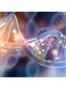 Bio Age Test