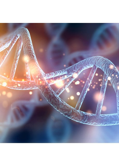 Bio Age Test