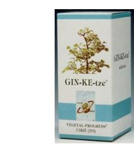 GINKETZE BIO 80TAV 600MG