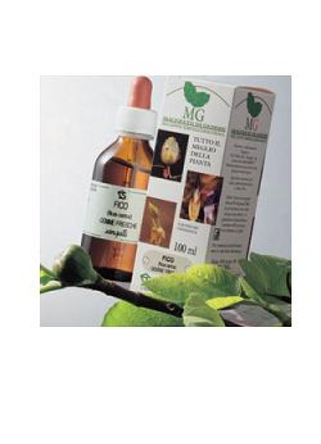 BETULA PUBESCENS 100ML MG
