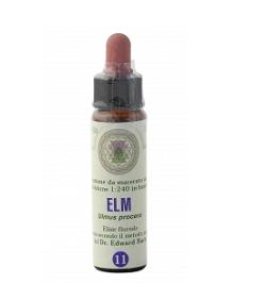 FIORI DI BACH 11 ELM GTT