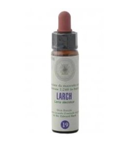 FIORI DI BACH 19 LARCH GTT