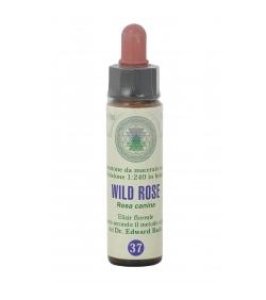 FIORI DI BACH 37 WILD ROSE GTT