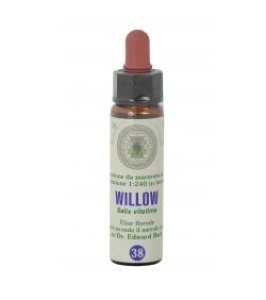 FIORI DI BACH 38 WILLOW GTT