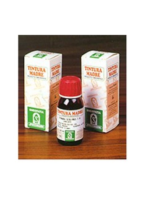 AMAMELIDE 15 50ML TM