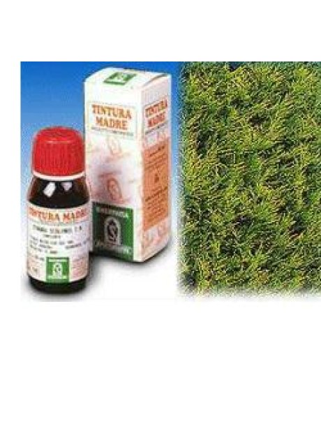 CIPRESSO 11 50ML TM