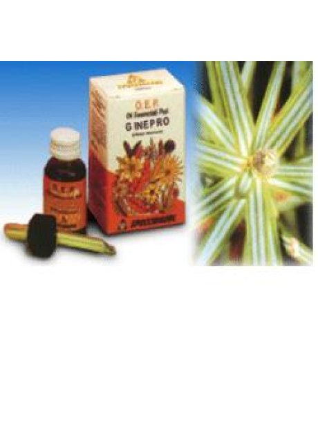 GINEPRO OE PURO 10ML