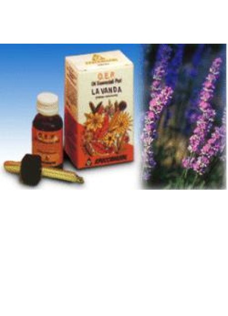 LAVANDA OLIO 10ML SPECCH