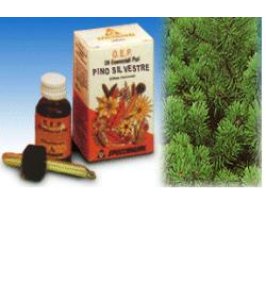 PINO SILVESTRE OLIO 10ML SPECCH