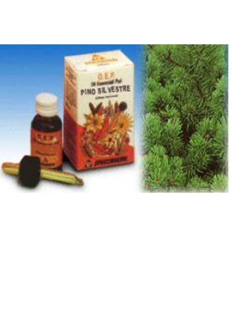 PINO SILVESTRE OLIO 10ML SPECCH