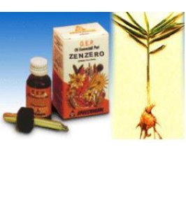 ZENZERO OE PURO 10ML
