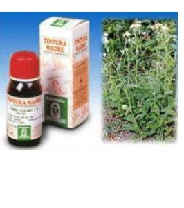 ACHILLEA 51 50ML TM SPECCH