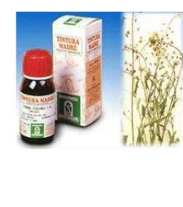 BORSA PASTORE 4 50ML TM SPECCH