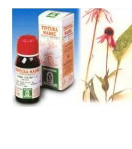 ECHINACEA 59 50ML TM