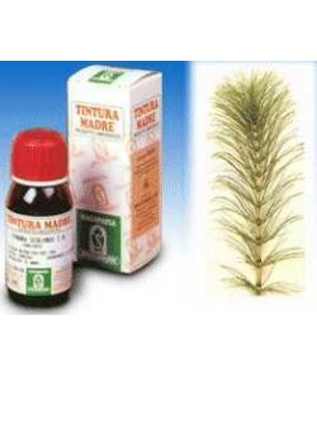 EQUISETO 50ML TM SPECCHIASOL