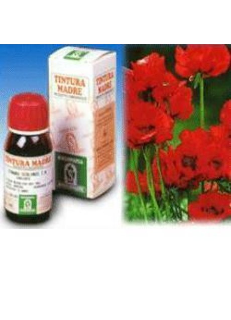 PAPAVERO CALIFORNIA 13 50ML TM