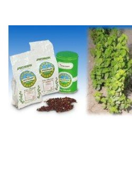 MENTA PIP BIO FGL TT 1000G