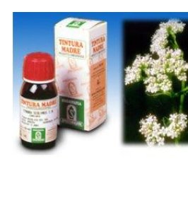 VALERIANA TM 50ML GTT SPECCHIA