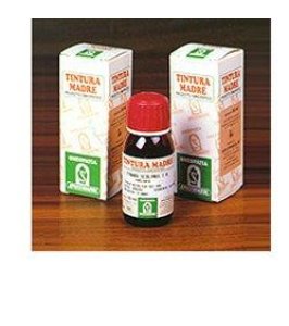 DAMIANA 29 50ML TM SPECCH