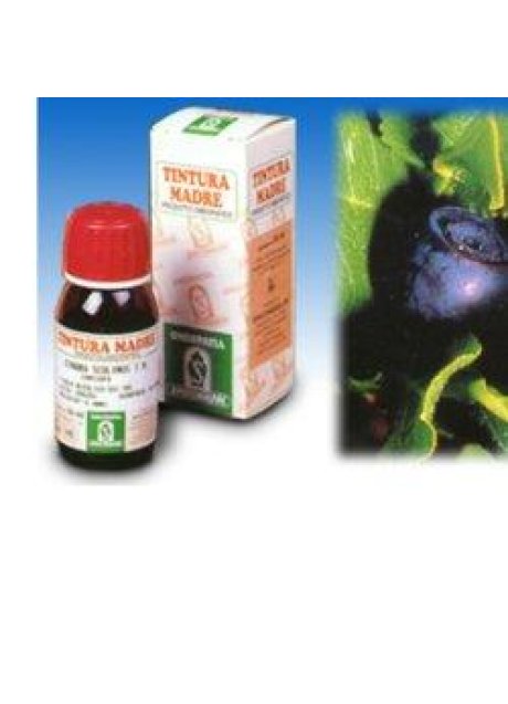 MIRTILLO 31 50ML TM SPECCH