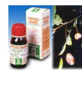 QUERCIA MARINA TINT MADRE 14