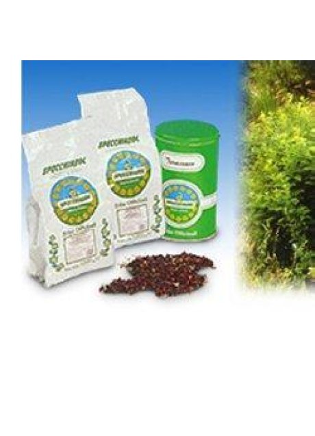 LIQUIRIZIA NAT DECORT 1000G