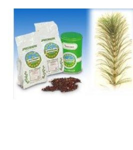 EQUISETO SOMMITA TT 1000G