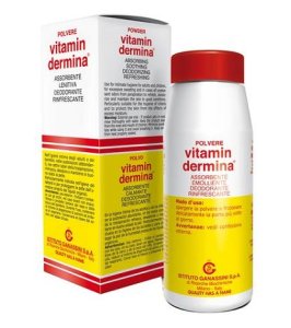 VITAMINDERMINA POLVERE 100 G