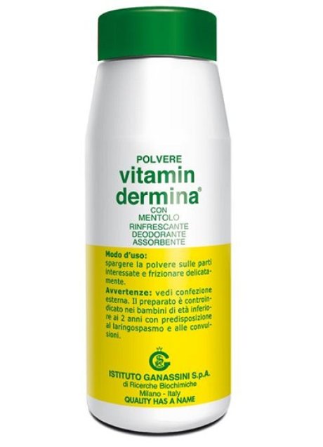 VITAMINDERMINA POLVERE MENT 100 G