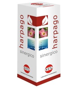 HARPAGO SINERGICO GTT 100ML