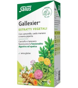 GALLEXIER-84 TAV CARCIO