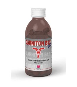 CARNITON-B12 PET 80CPR 80G