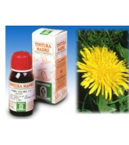 TARASSACO 28 50ML TM