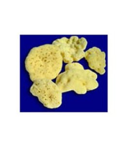 ROSENFELD SPUG FINE BEBE 8CM