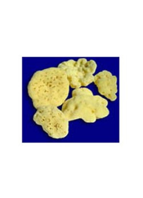 ROSENFELD SPUG FINE BEBE 8CM