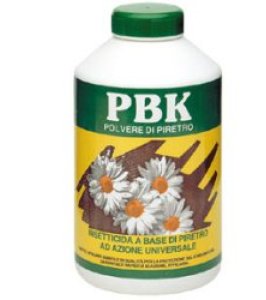 PBK POLV PIRETRO INSETT 250G