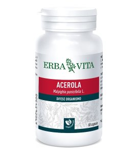ACEROLA 60CPS 550MG EBV