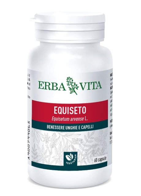 EQUISETO 60CPS EBV<<<