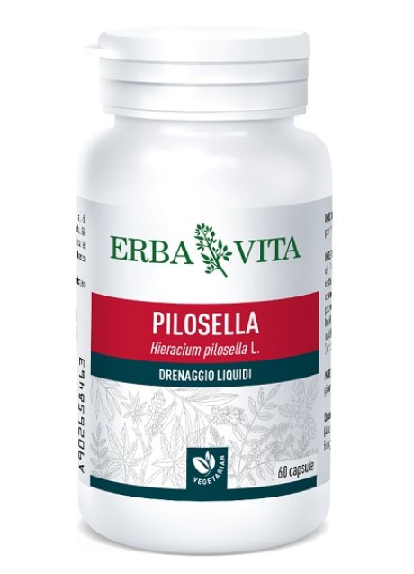 PILOSELLA 60CPS 400MG