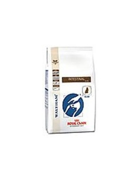 VDIET INTESTINAL FELINE 2,5KG