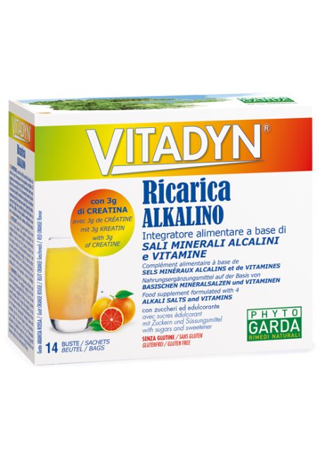 VITADYN RICARICA ALKALIN14BUST