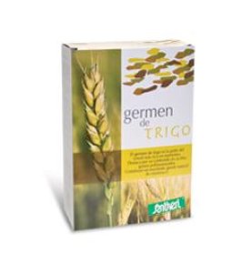GERME GRANO POLV 400G STV