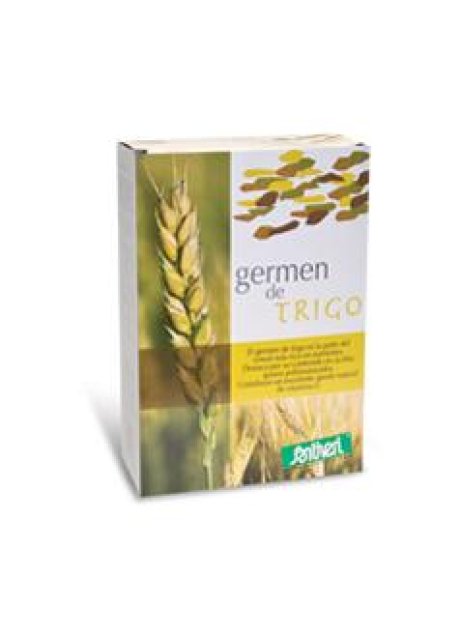 GERME GRANO POLV 400G STV