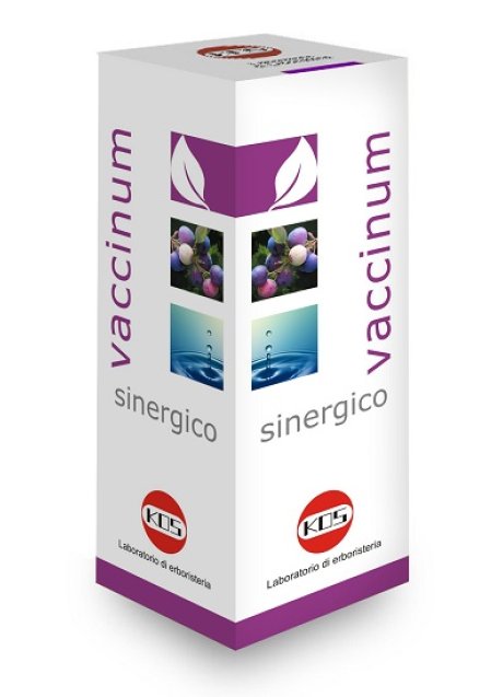 VACCINIUM SINERG GTT 100ML KOS