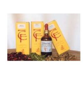 CARPINO BETULUS GEMME 100ML MG