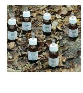 ZEABEL OLIO MASS 50ML