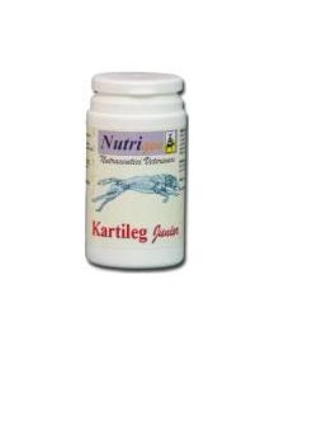KARTILEG JUNIOR 60TAV