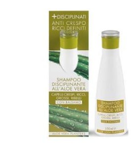 ALOE SHAMPOO DISCIPLIN PLANTERS