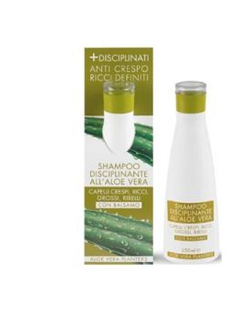 ALOE SHAMPOO DISCIPLIN PLANTERS