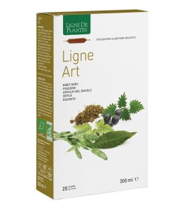 LIGNE ART BIO 20 AMPOLLE 15ML